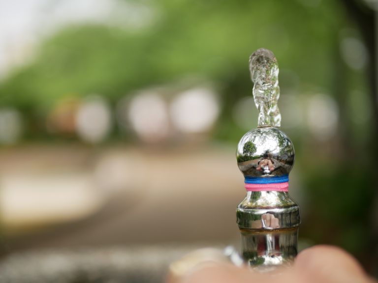 現場を支える食品容器の進化とサステナビリティ最前線の業務用選定術