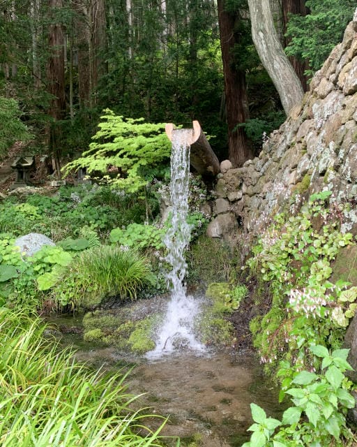 食品容器が担う業務用現場の裏側と持続可能性を考える新時代の選び方