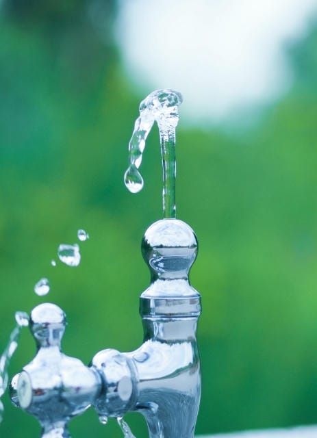 現場効率と持続可能性を両立させるための食品容器選定と発注の最重要ガイド