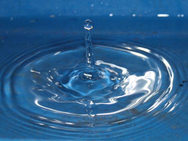 現場視点と技術革新が拓く持続可能な食品容器の調達と選定戦略