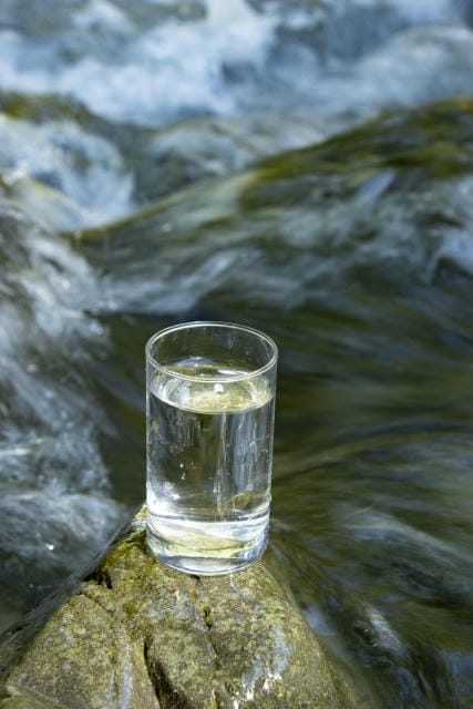 業務用現場を支えるガラス容器の選定基準と環境対応への広がり