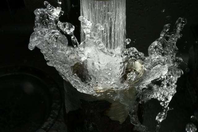 多様化と環境配慮が進む現代食品業界における食品容器選定と発注のポイント