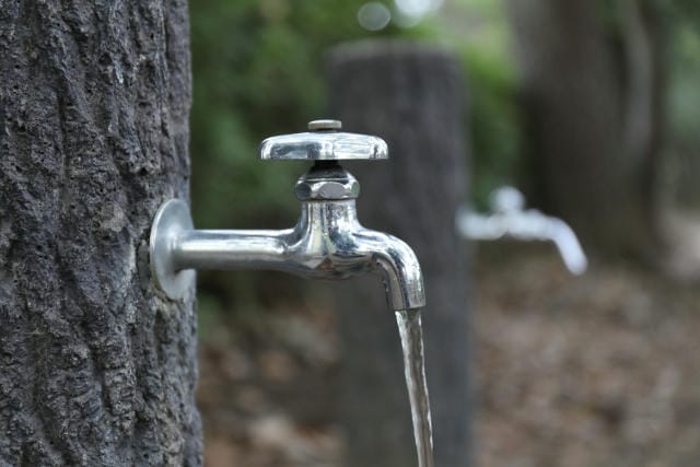 業務用現場を支えるガラス容器の選び方と発注時の細やかなポイント