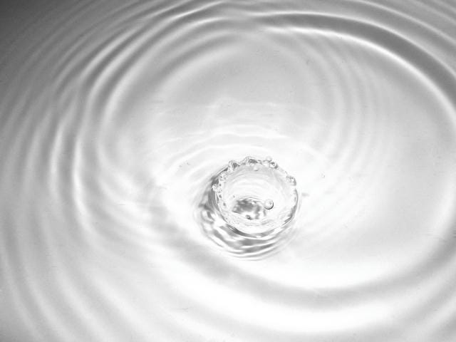 効率と安全を支える業務用食品容器の選定と発注管理の最前線